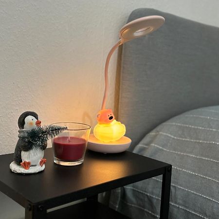 Appartement Au Coeur Strasburg Zewnętrze zdjęcie